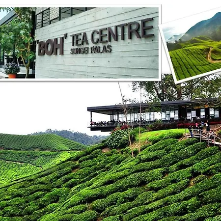 Cameron Nova Highlands Resort I Cameron Highlands Exterior photo